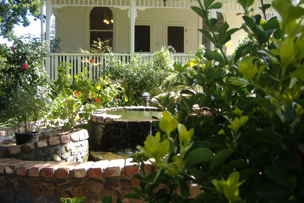 فندق Genesta House كاوز المظهر الخارجي الصورة